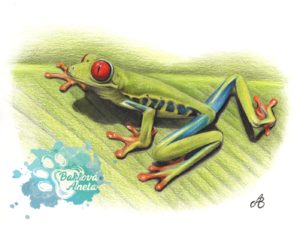 Frog portrait